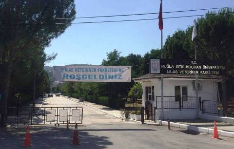 Veteriner Fakültesi Öğrenci Yurtları